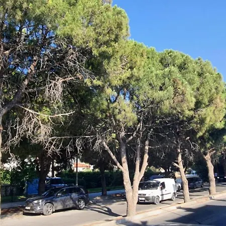 Hotel Aral Turkuaz Butik Otel